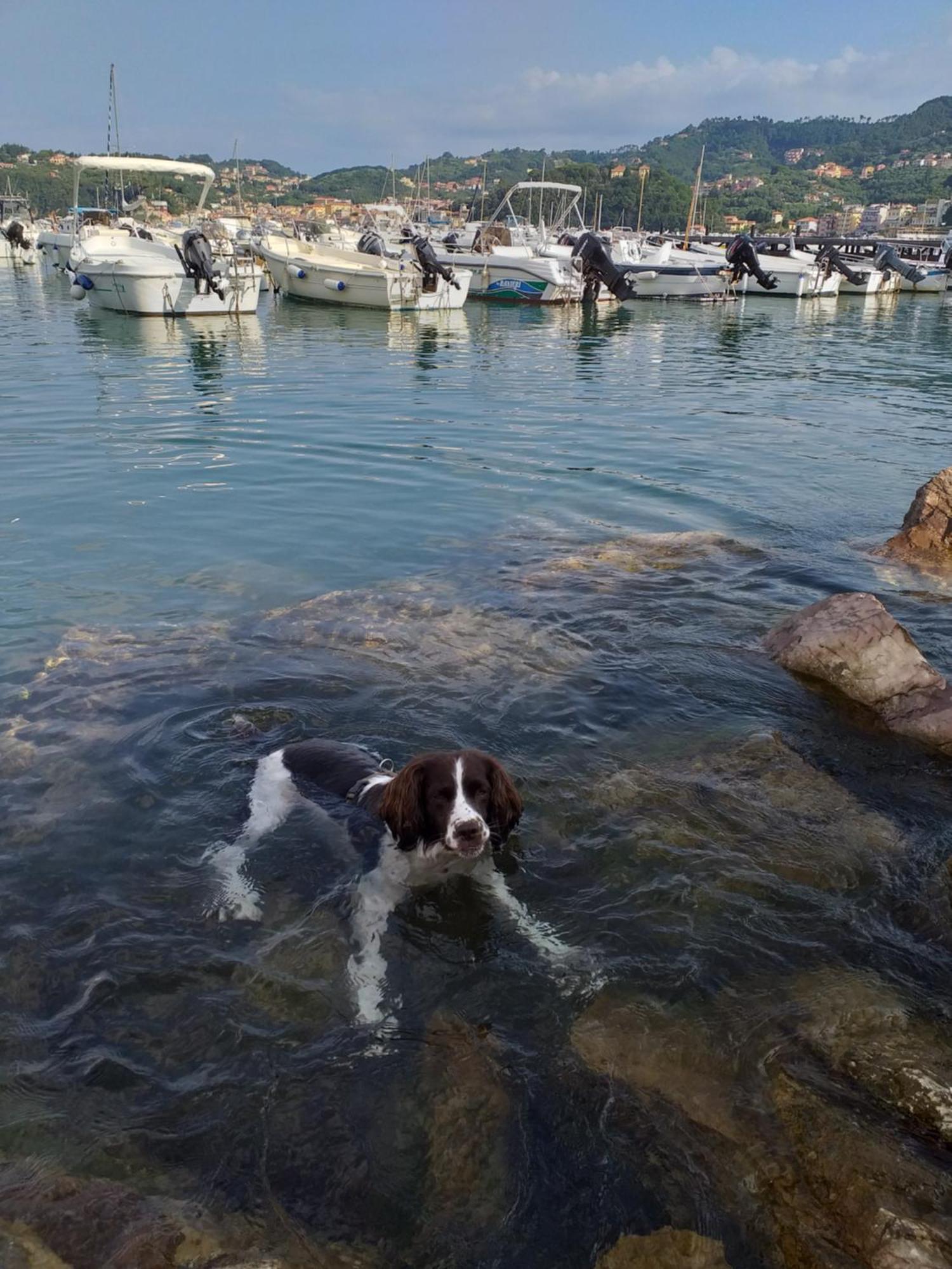 Вилла Casa A Lerici Nell'Antico Borgo Экстерьер фото